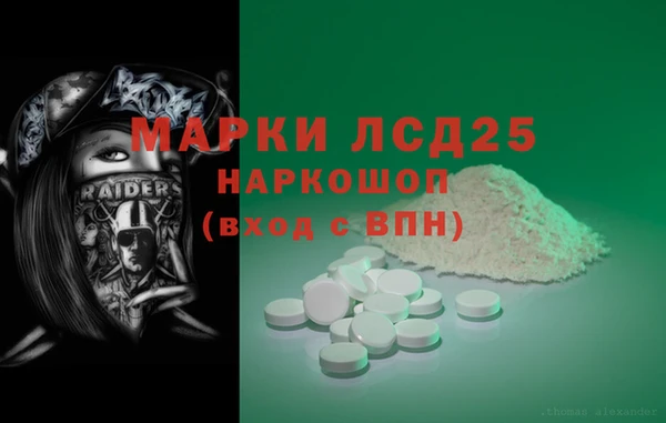 СК Зеленокумск