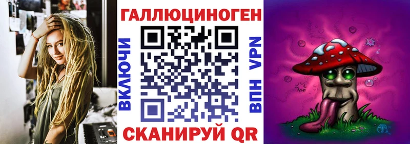 где можно купить наркотик  Истра  Псилоцибиновые грибы Psilocybe 