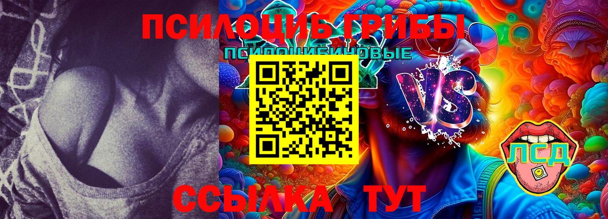 Галлюциногенные грибы Cubensis Истра